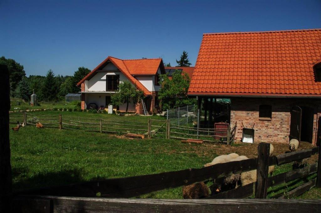 U Magdy Villa Ostrowice Eksteriør bilde